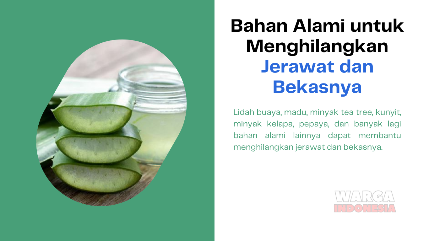 Bahan Alami untuk Menghilangkan Jerawat dan Bekasnya